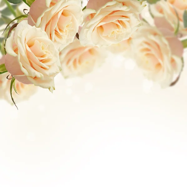 Postal con flores elegantes —  Fotos de Stock
