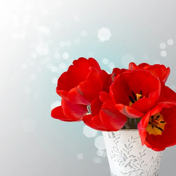 Cartolina con eleganti tulipani di fiori — Foto Stock