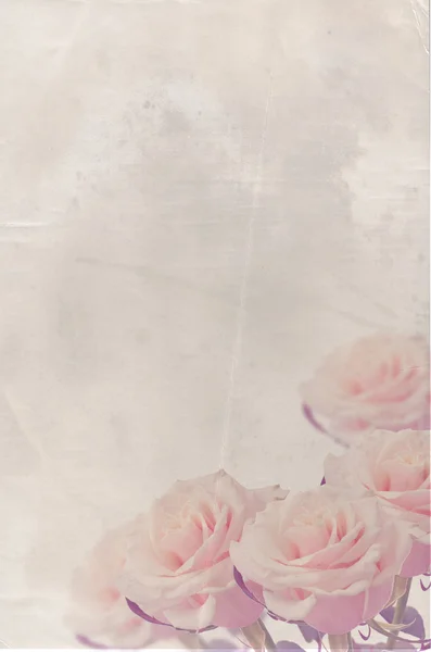 Vintage vykort med eleganta rosor och plats för din text — Stockfoto