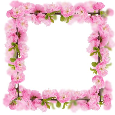 kartpostal taze bahar çiçekli ağaç