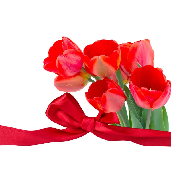 Cartão postal com flores frescas tulipas — Fotografia de Stock