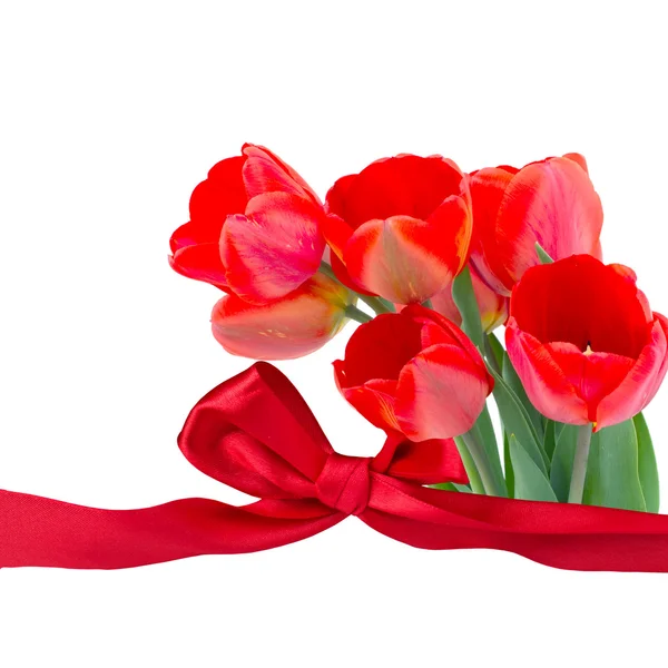 Postal con flores frescas tulipanes — Foto de Stock