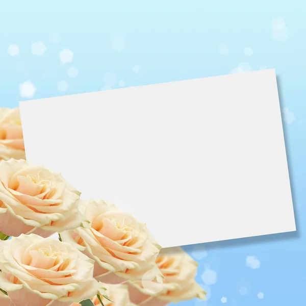 Cartolina con rose eleganti — Foto Stock