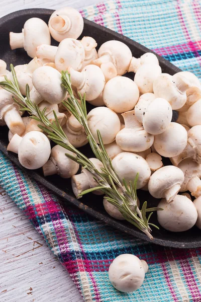 Fresh mushrooms — Stock Photo, Image