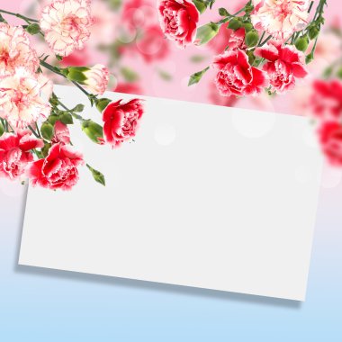 kartpostal ile şık karanfil