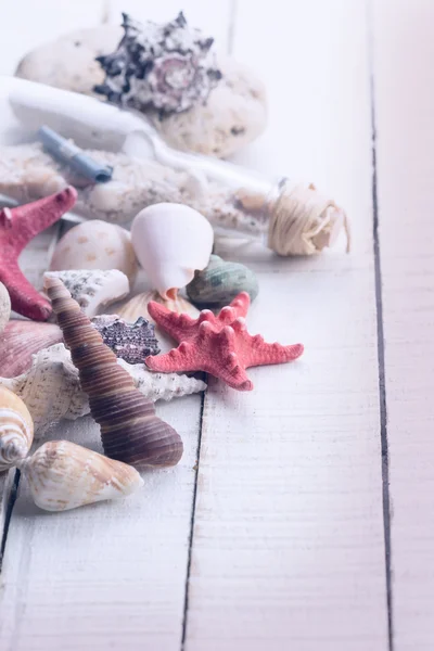 Морские ракушки, морская звезда, камень и бутылка — стоковое фото