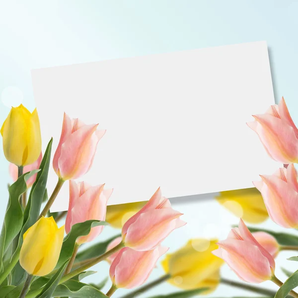 Открытка со свежими цветами тюльпаны — стоковое фото