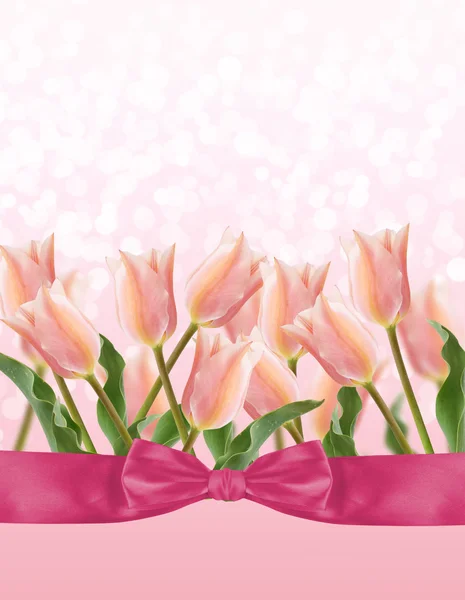 Postcard with fresh flowers tulips — Stock Photo, Image