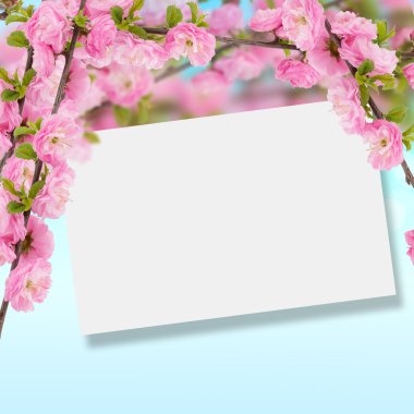 kartpostal ile taze çiçekler badem