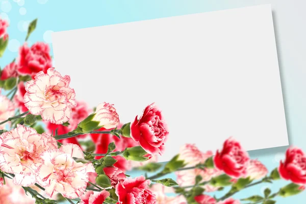 kartpostal ile karanfil