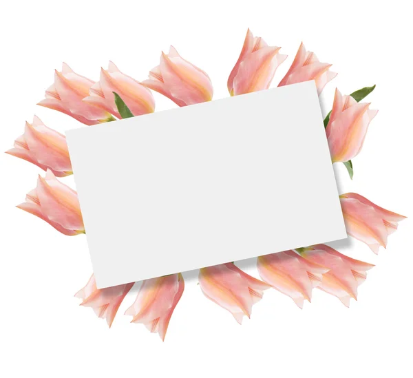 Tarjeta vacía con tulipanes rosados frescos — Foto de Stock