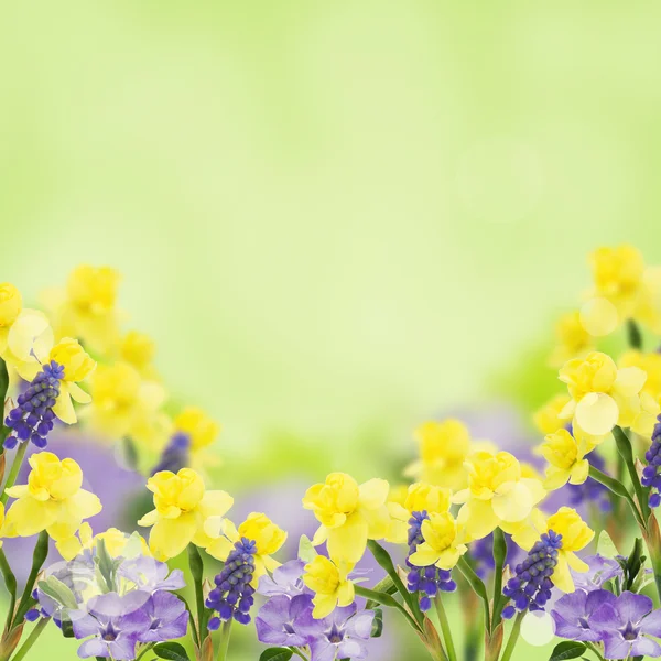 Ansichtkaart met bloemen — Stockfoto