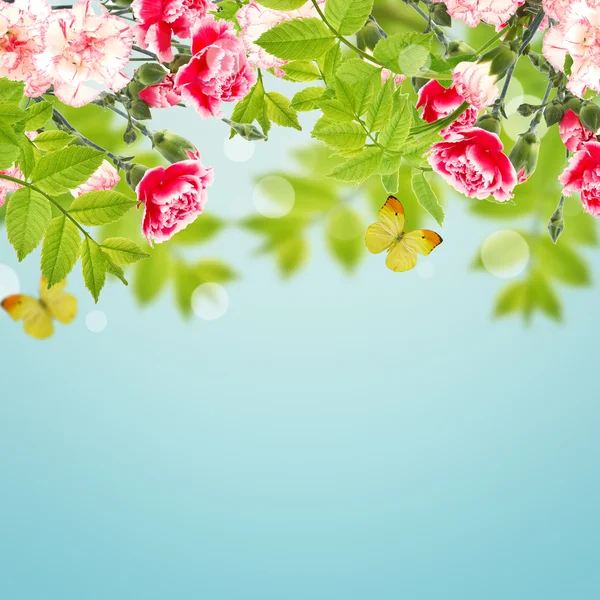 Cartolina con fiori — Foto Stock