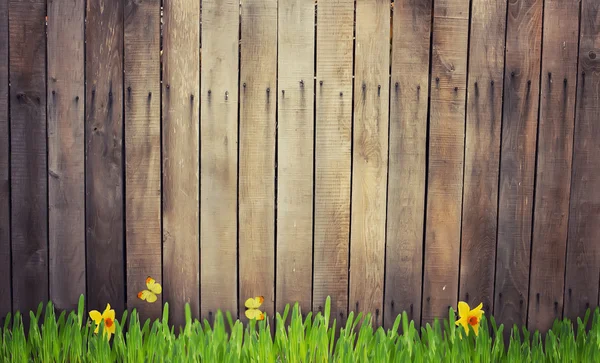 Eski ahşap çit ve çim — Stok fotoğraf