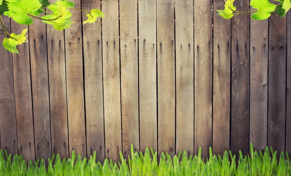 Grass against wooden background — Stock Photo, Image