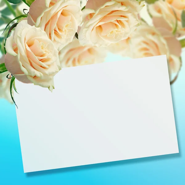 Carte postale avec des roses élégantes — Photo