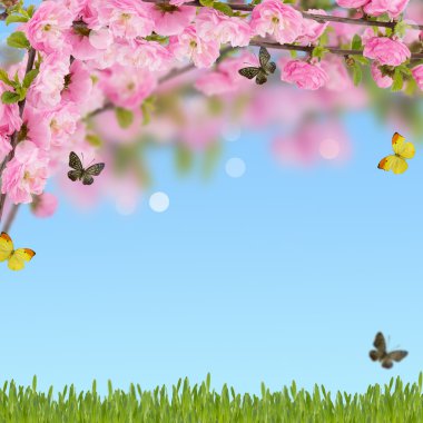 kartpostal bir ağaç