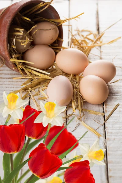 Huevos de Pascua —  Fotos de Stock