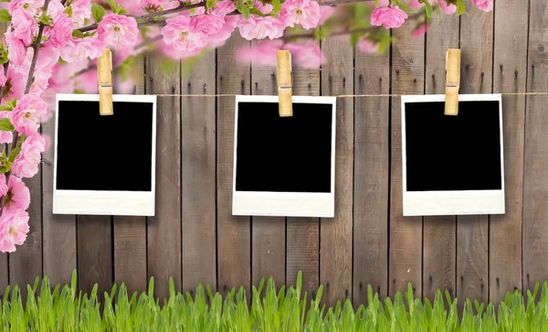 Empty photo frames — Stock Photo, Image