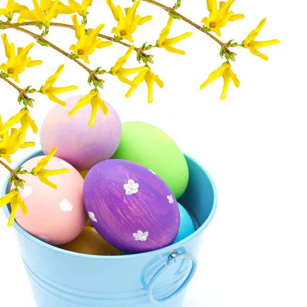 Ovos de Páscoa em balde com flores forsythia — Fotografia de Stock