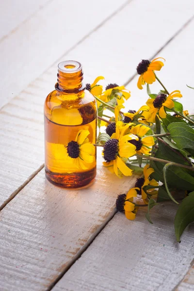 Väsentliga aromaolja — Stockfoto