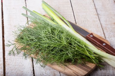 organik taze dereotu