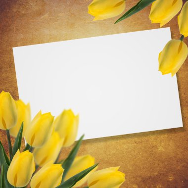 taze çiçek Lale ve boş yer için senin te kartpostal