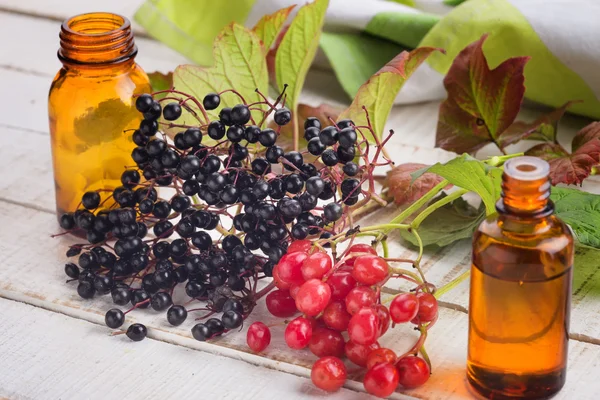 Elderberry, viburnum, medicines. — Stock Photo, Image