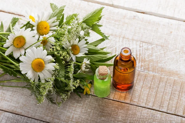 Essential aroma oil with chamomile — Stock Photo, Image