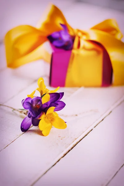 Fresh crocuses and gift box — Stock Photo, Image