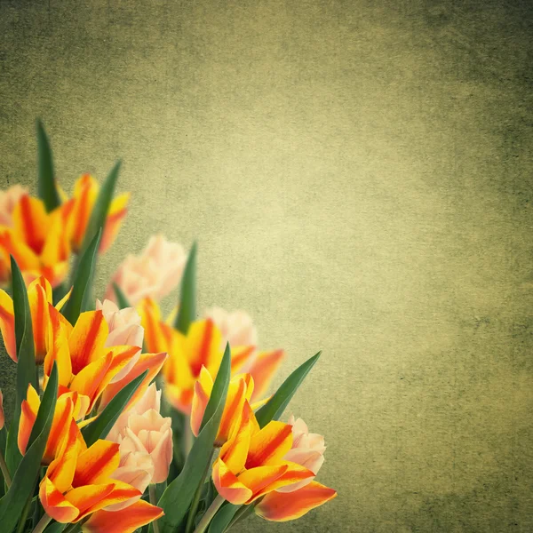 Vykort med färska blommor tulpaner och tom plats för ditt te — Stockfoto