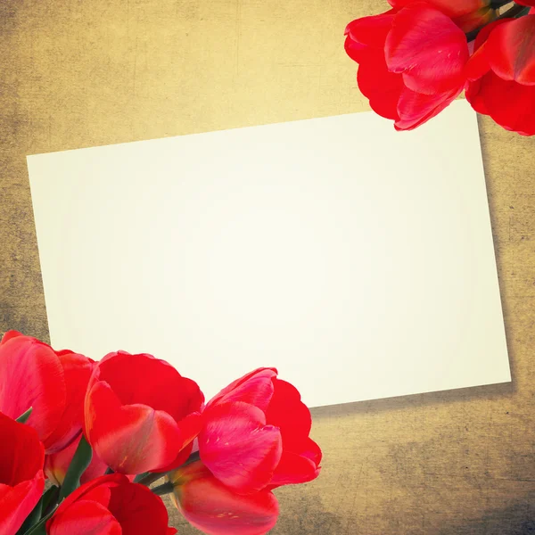 Postal con flores frescas tulipanes y lugar vacío para su te —  Fotos de Stock