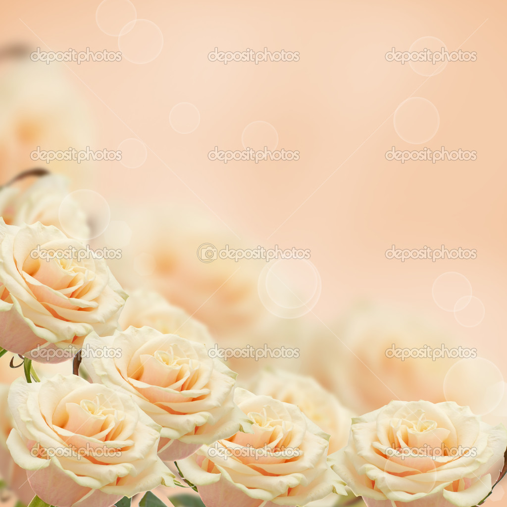 Border from fresh roses — Stock Photo © daffodil #43095771