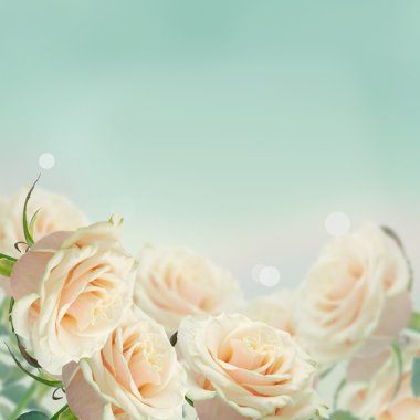 kartpostal zarif çiçekler