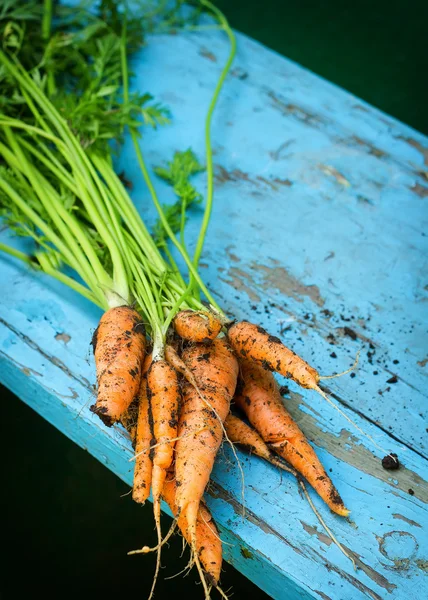 Свежая морковь с листьями — стоковое фото