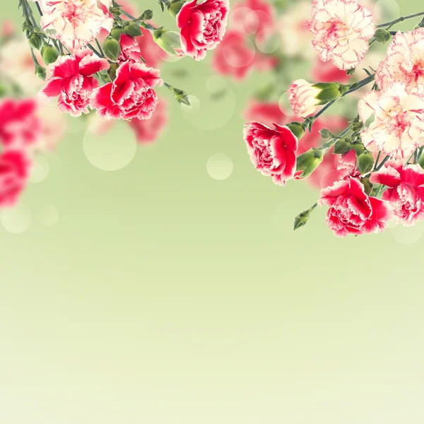 Postkarte mit eleganten Blumen und leeren Platz für Ihren Text — Stockfoto