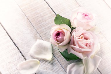 Gül ahşap arka plan üzerinde