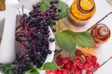 Mürver harç içinde