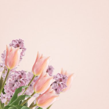 kartpostal zarif çiçekler