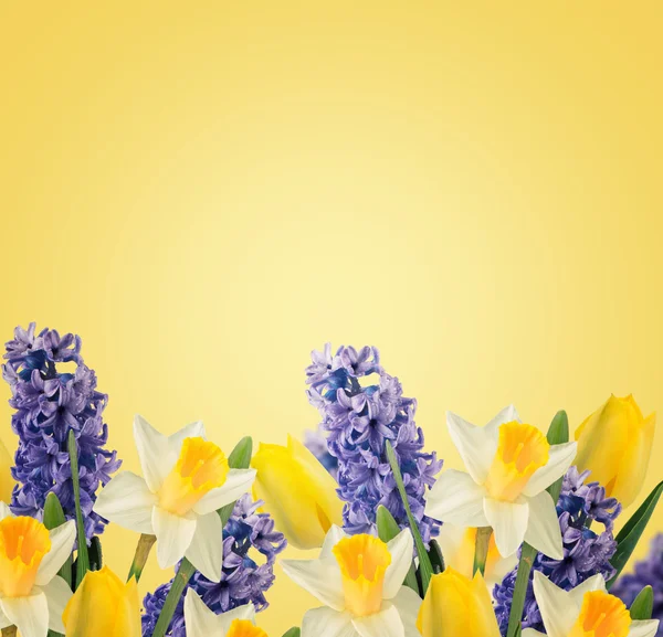 Фон праздника с весенними цветами — стоковое фото
