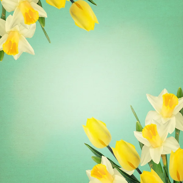 Kartpostal zarif çiçekler — Stok fotoğraf