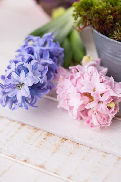 Frische Blumen — Stockfoto