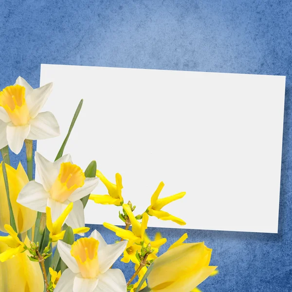 Blommor bakgrund — Stockfoto