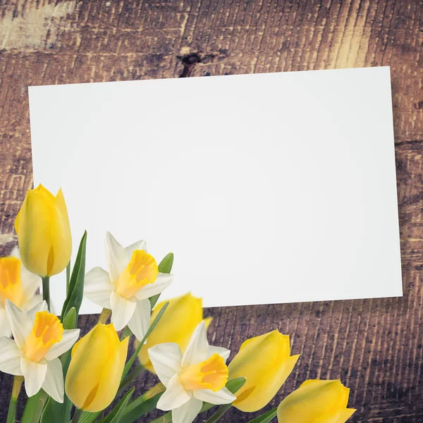 Blommor bakgrund — Stockfoto