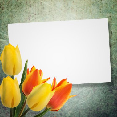 Lale ile kartpostal