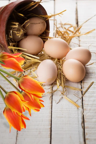 Huevos de Pascua —  Fotos de Stock