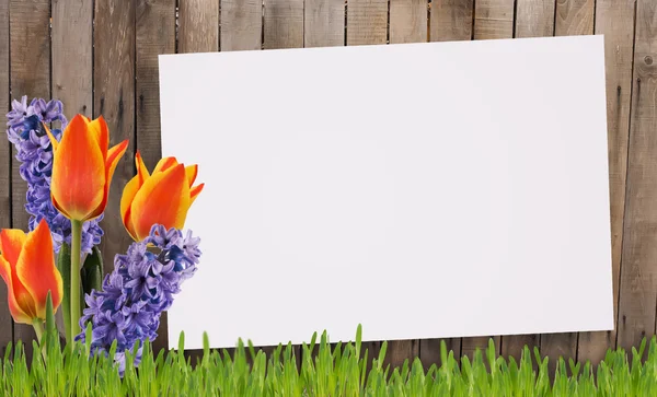 Old wooden fence — Stock Photo, Image