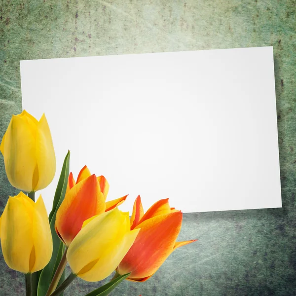 Postkarte mit Tulpen — Stockfoto