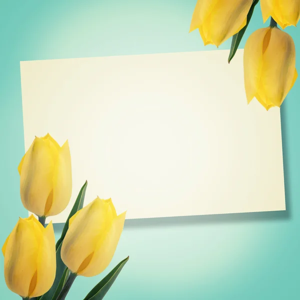 Cartolina con tulipani — Foto Stock