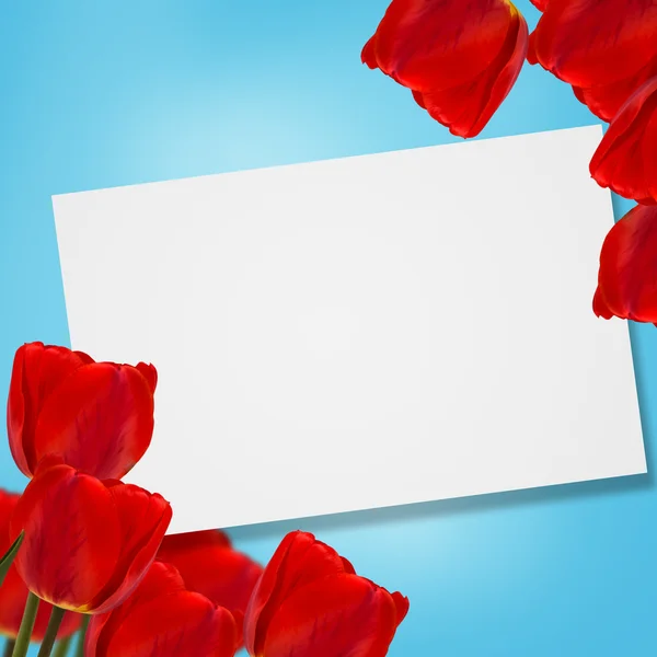 Cartão postal com tulipas — Fotografia de Stock